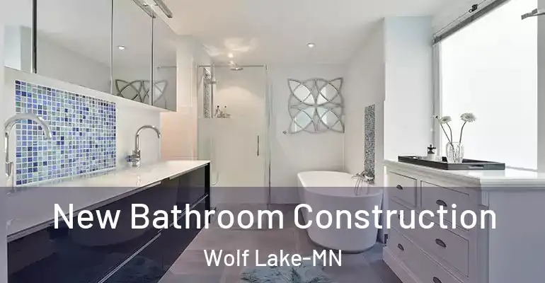 inner Bathroom imggen New Bathroom Construction Wolf Lake-MN