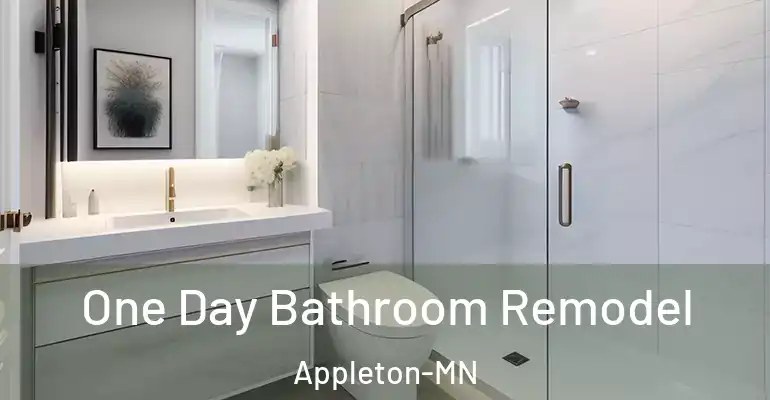 inner Bathroom imggen One Day Bathroom Remodel Appleton-MN