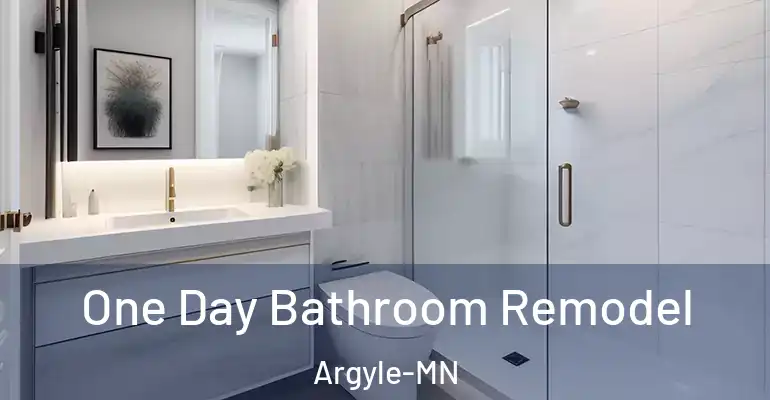 inner Bathroom imggen One Day Bathroom Remodel Argyle-MN