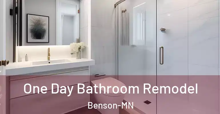 inner Bathroom imggen One Day Bathroom Remodel Benson-MN