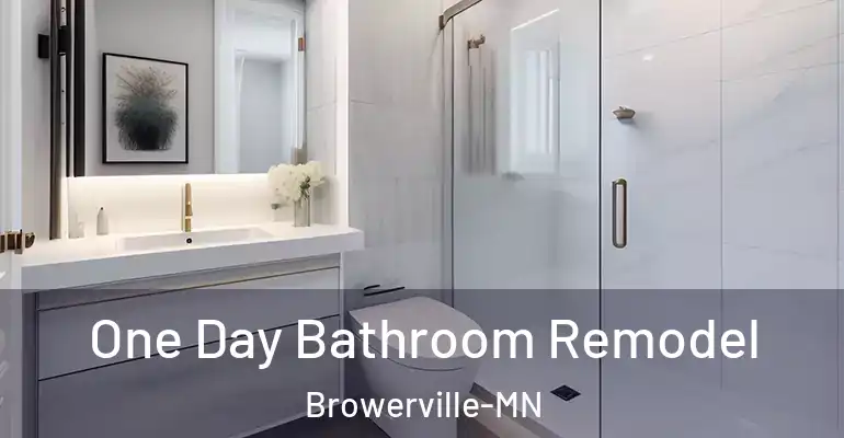inner Bathroom imggen One Day Bathroom Remodel Browerville-MN