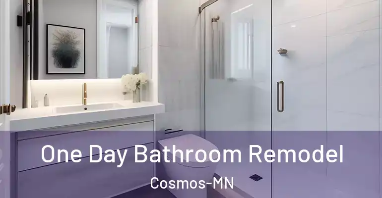 inner Bathroom imggen One Day Bathroom Remodel Cosmos-MN