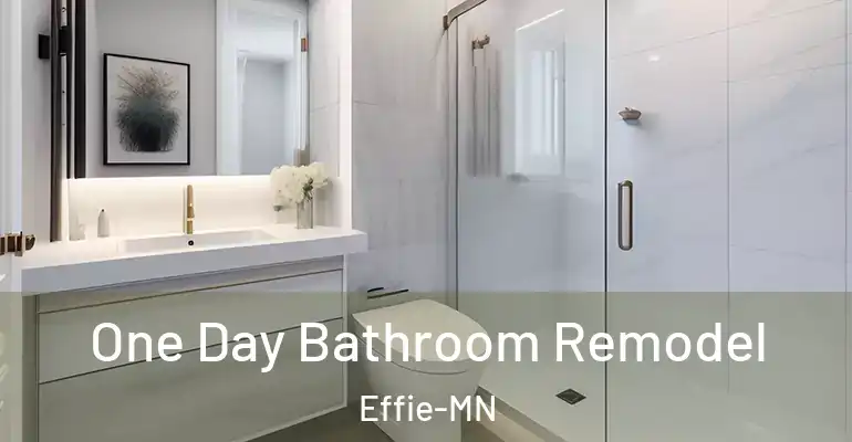 inner Bathroom imggen One Day Bathroom Remodel Effie-MN