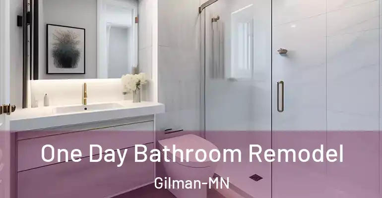 inner Bathroom imggen One Day Bathroom Remodel Gilman-MN