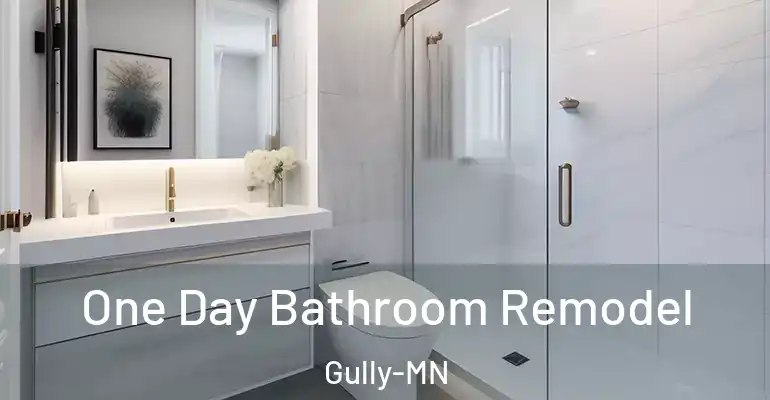 inner Bathroom imggen One Day Bathroom Remodel Gully-MN