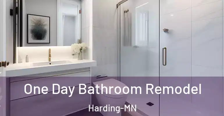 inner Bathroom imggen One Day Bathroom Remodel Harding-MN