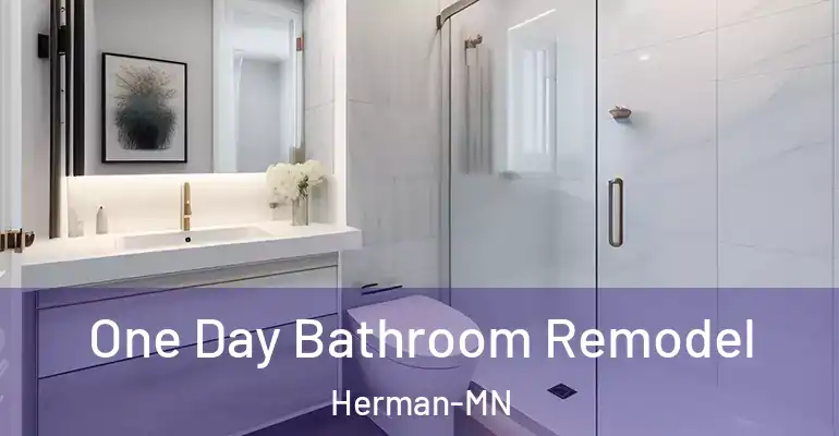 inner Bathroom imggen One Day Bathroom Remodel Herman-MN