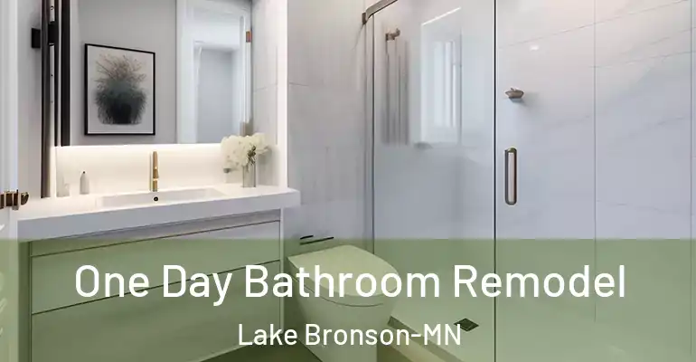 inner Bathroom imggen One Day Bathroom Remodel Lake Bronson-MN