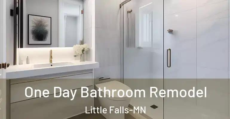 inner Bathroom imggen One Day Bathroom Remodel Little Falls-MN