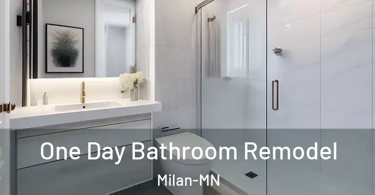 inner Bathroom imggen One Day Bathroom Remodel Milan-MN