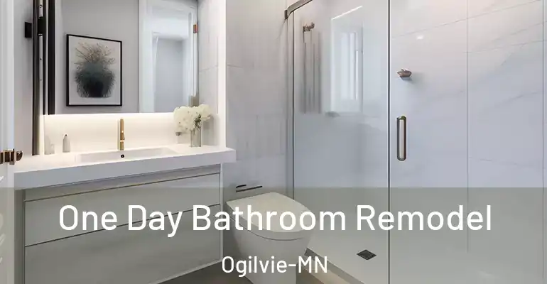 inner Bathroom imggen One Day Bathroom Remodel Ogilvie-MN