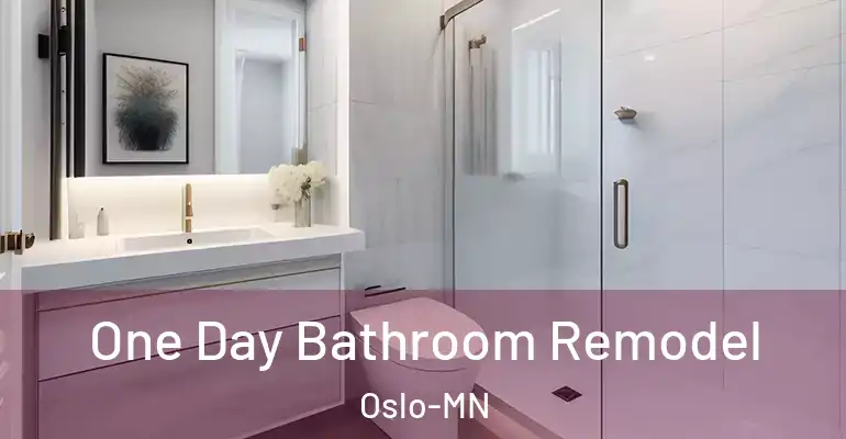 inner Bathroom imggen One Day Bathroom Remodel Oslo-MN