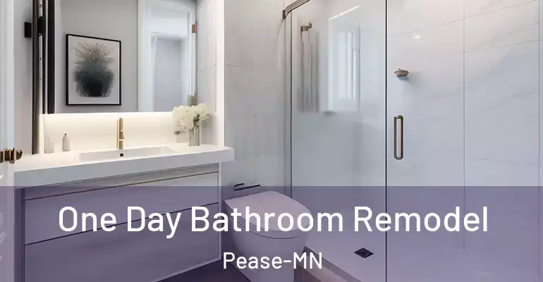 inner Bathroom imggen One Day Bathroom Remodel Pease-MN