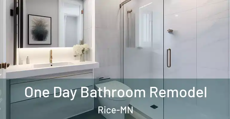 inner Bathroom imggen One Day Bathroom Remodel Rice-MN