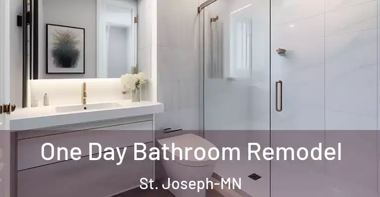 inner Bathroom imggen One Day Bathroom Remodel St. Joseph-MN