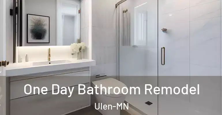 inner Bathroom imggen One Day Bathroom Remodel Ulen-MN
