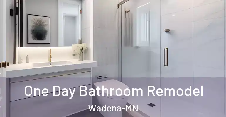 inner Bathroom imggen One Day Bathroom Remodel Wadena-MN