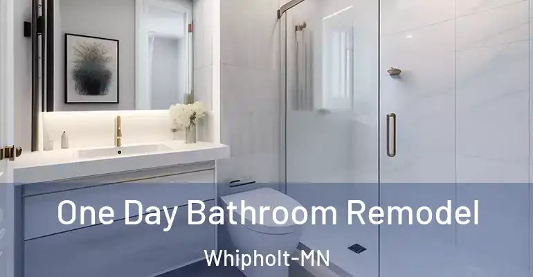 inner Bathroom imggen One Day Bathroom Remodel Whipholt-MN