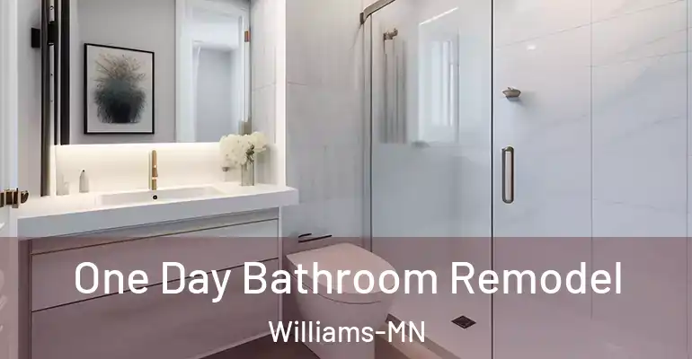 inner Bathroom imggen One Day Bathroom Remodel Williams-MN