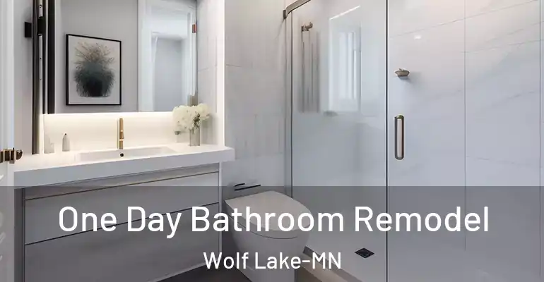 inner Bathroom imggen One Day Bathroom Remodel Wolf Lake-MN