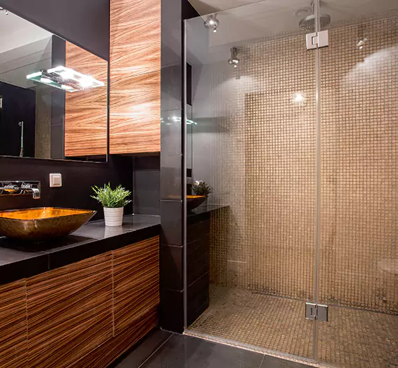 Why Choose Tri County Bathroom Remodeling for Quality Tub to Shower Conversion Services in Freeport, MN?