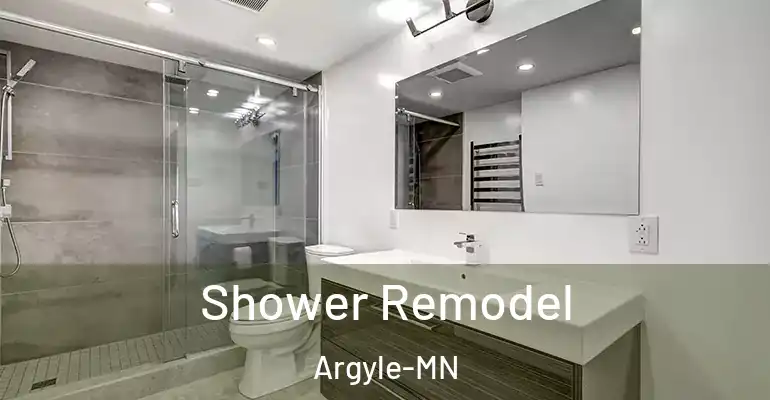 inner Bathroom imggen Shower Remodel Argyle-MN