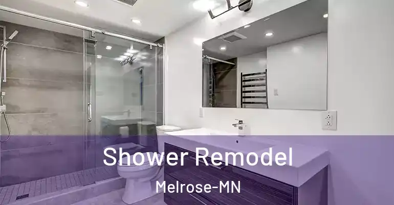 inner Bathroom imggen Shower Remodel Melrose-MN