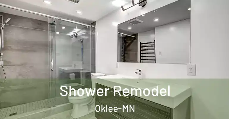 inner Bathroom imggen Shower Remodel Oklee-MN