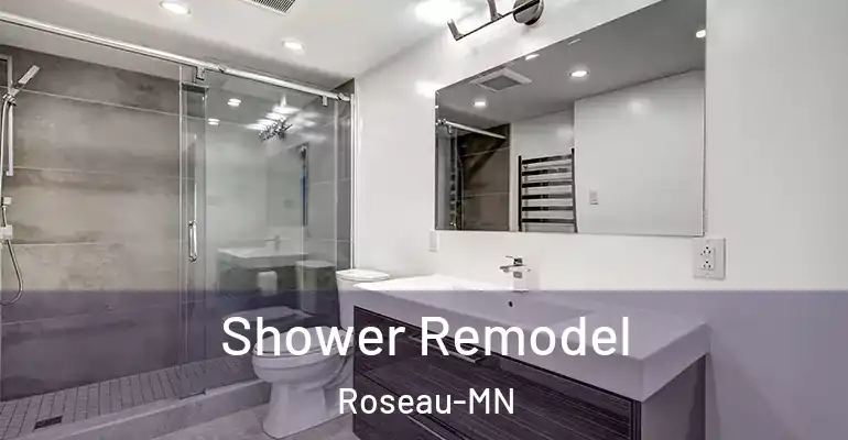 inner Bathroom imggen Shower Remodel Roseau-MN