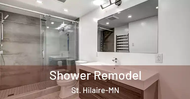 inner Bathroom imggen Shower Remodel St. Hilaire-MN