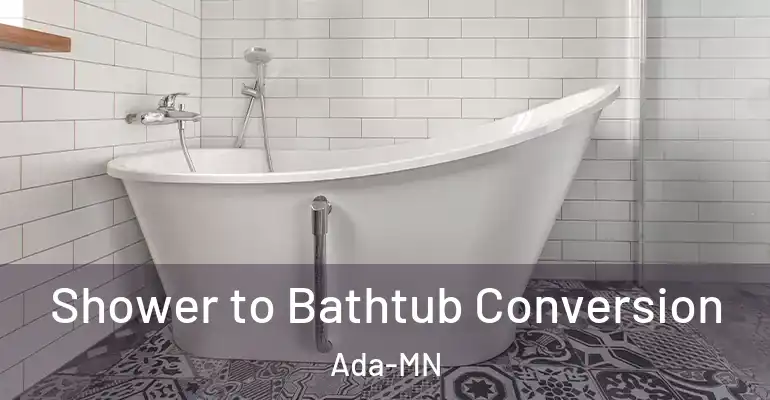 inner Bathroom imggen Shower to Bathtub Conversion Ada-MN