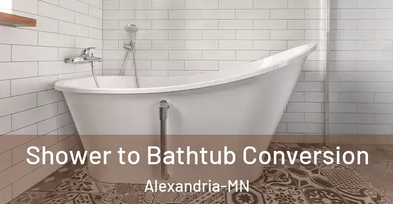 inner Bathroom imggen Shower to Bathtub Conversion Alexandria-MN