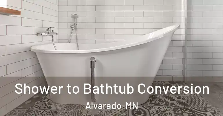 inner Bathroom imggen Shower to Bathtub Conversion Alvarado-MN