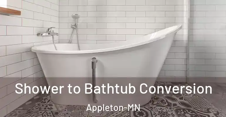 inner Bathroom imggen Shower to Bathtub Conversion Appleton-MN