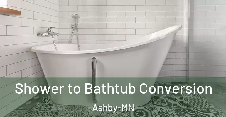 inner Bathroom imggen Shower to Bathtub Conversion Ashby-MN