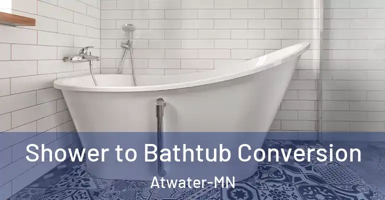 inner Bathroom imggen Shower to Bathtub Conversion Atwater-MN