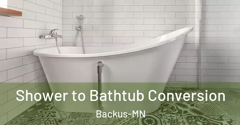 inner Bathroom imggen Shower to Bathtub Conversion Backus-MN