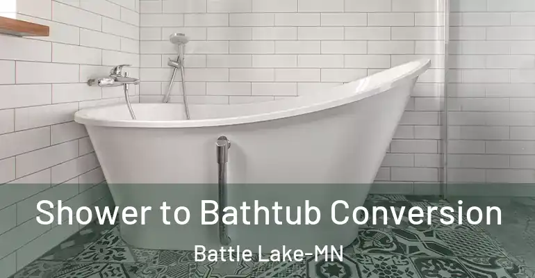 inner Bathroom imggen Shower to Bathtub Conversion Battle Lake-MN