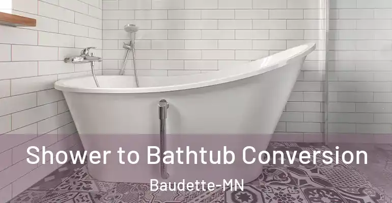 inner Bathroom imggen Shower to Bathtub Conversion Baudette-MN
