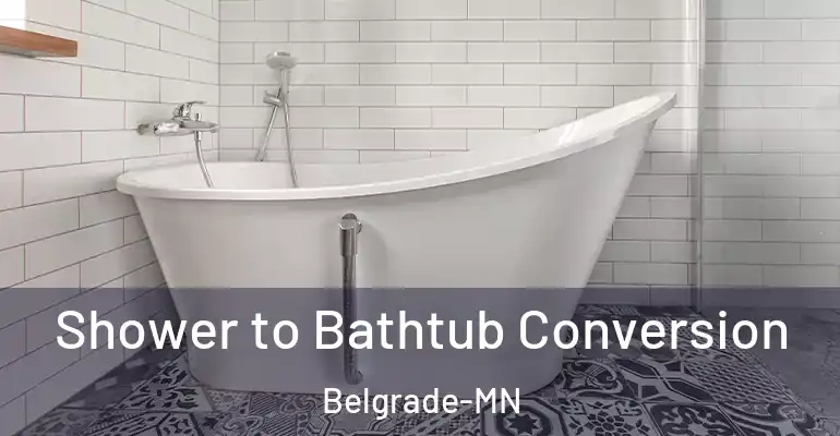inner Bathroom imggen Shower to Bathtub Conversion Belgrade-MN