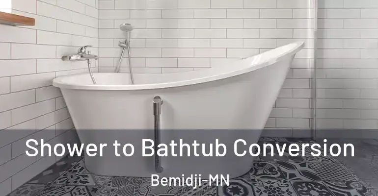 inner Bathroom imggen Shower to Bathtub Conversion Bemidji-MN