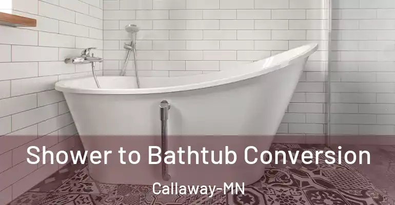 inner Bathroom imggen Shower to Bathtub Conversion Callaway-MN