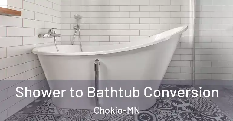 inner Bathroom imggen Shower to Bathtub Conversion Chokio-MN