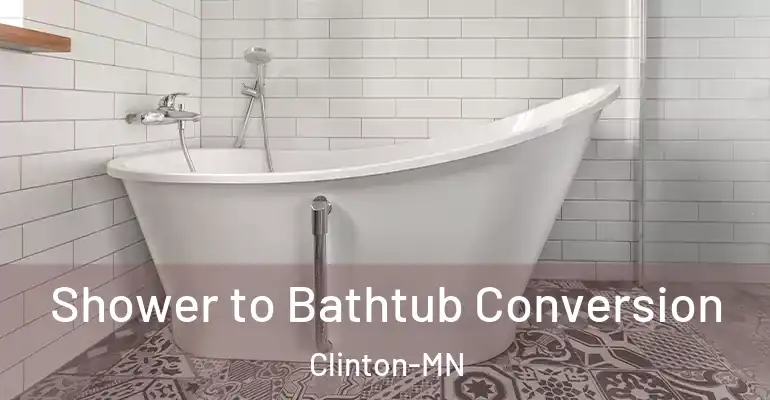 inner Bathroom imggen Shower to Bathtub Conversion Clinton-MN