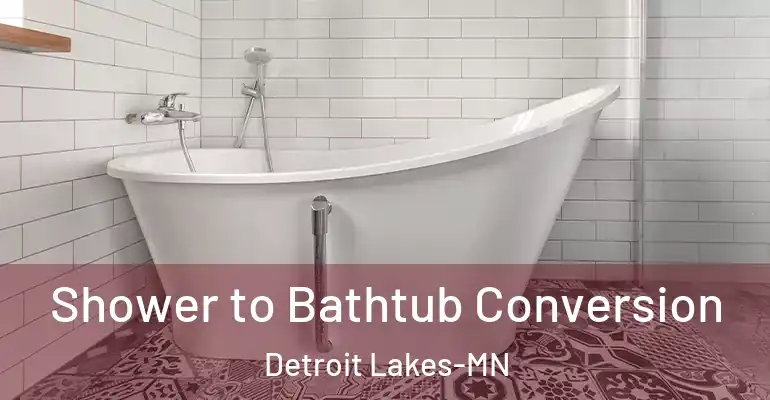 inner Bathroom imggen Shower to Bathtub Conversion Detroit Lakes-MN