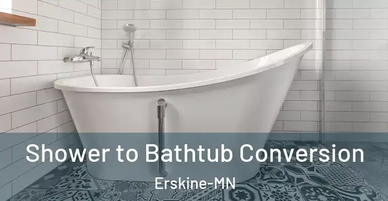 inner Bathroom imggen Shower to Bathtub Conversion Erskine-MN