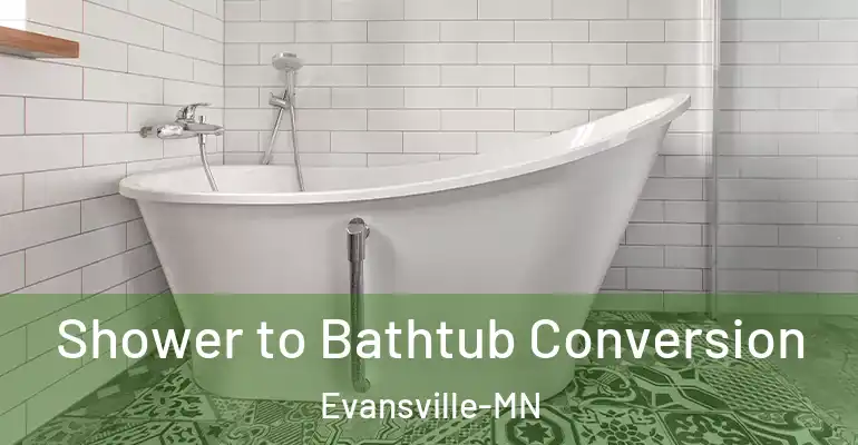 inner Bathroom imggen Shower to Bathtub Conversion Evansville-MN