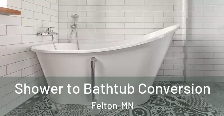 inner Bathroom imggen Shower to Bathtub Conversion Felton-MN