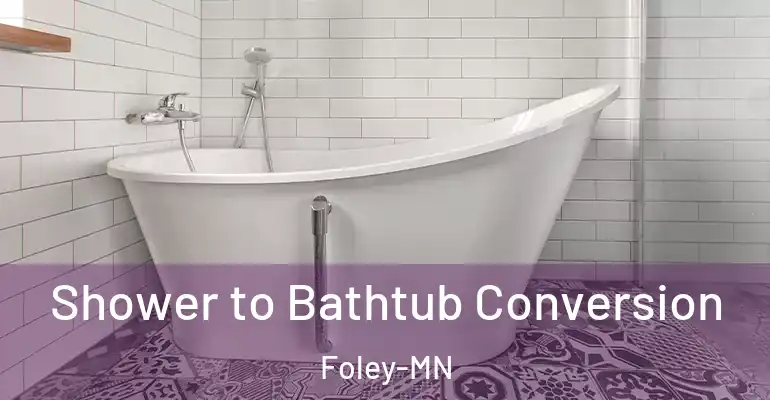 inner Bathroom imggen Shower to Bathtub Conversion Foley-MN