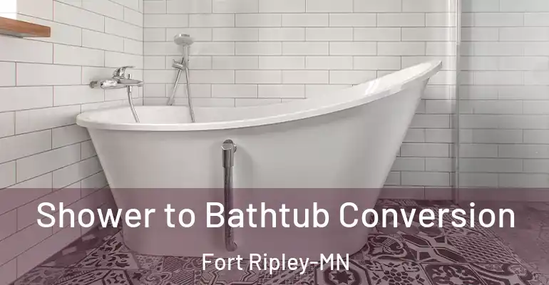 inner Bathroom imggen Shower to Bathtub Conversion Fort Ripley-MN